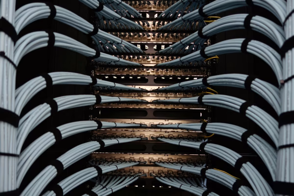 pexels-cookiecutter-19166565